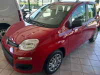 Usata Fiat Panda S 70 CV (51 kW) 2024 Bianco / pastello Utilitaria