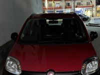 Usata Fiat Panda 85 CV (62 kW) 2013 Rosso Utilitaria
