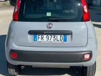 Usata Fiat Panda 85 CV (62 kW) 2018 Utilitaria