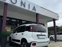 Usata Fiat Panda Cross Cross 70 CV (51 kW) 2024 Bianco gelato Utilitaria