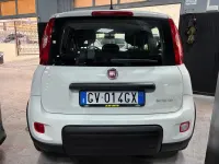Usata Fiat Panda Cross Cross 71 CV (52 kW) 2024 Bianco Utilitaria