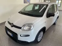 Usata Fiat Panda S 69 CV (50 kW) 2023 Bianco Utilitaria