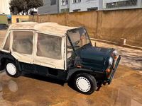 Usata Austin Mini 1987