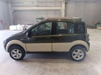 Usata Fiat Panda 4x4 Cross 69 CV (50 kW) 2008 Verde Utilitaria