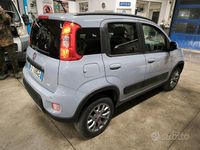 Usata Fiat Panda 4x4 S 85 CV (62 kW) 2020 Grigio Utilitaria