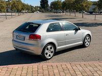 Usata Audi A3 116 CV (85 kW) 2004 Utilitaria
