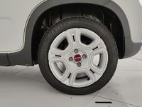 Usata Fiat Panda S 70 CV (51 kW) 2023 Bianco Utilitaria