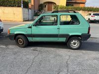 Usata Fiat Panda 4x4 50 CV (36 kW) 2001 Verde Utilitaria