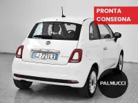 Usata Fiat 500 Dolcevita 69 CV (50 kW) 2022 Utilitaria