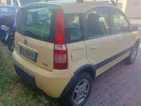 Usata Fiat Panda 4x4 Climbing 69 CV (50 kW) 2007 Giallo Utilitaria