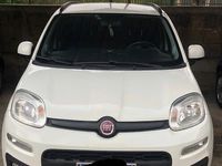 usata Fiat Punto 3ª serie - 2019