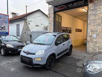 Usata Fiat Panda 4x4 S 84 CV (61 kW) 2019 Grigio Utilitaria