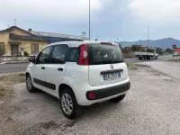 Usata Fiat Panda Active 60 CV (44 kW) 2015 Utilitaria