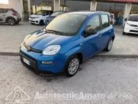 Usata Fiat Panda S 69 CV (50 kW) 2024 Bluazzurro Utilitaria