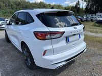 Usata Ford Kuga ST-Line 120 CV (88 kW) 2023 Bianco SUV