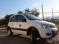 Usata Fiat Panda 4x4 2005 Utilitaria