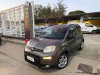 Usata Fiat Panda Cross Cross 69 CV (50 kW) 2022 Grigio Utilitaria