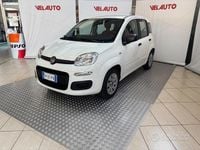 Usata Fiat Panda Pop 69 CV (50 kW) 2017 Bianco Utilitaria