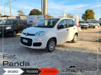 Usata Fiat Panda Easy 69 CV (50 kW) 2020 Bianco Utilitaria