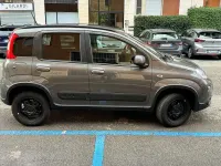 Usata Fiat Panda 4x4 Wild 86 CV (63 kW) 2026 Grigio Utilitaria