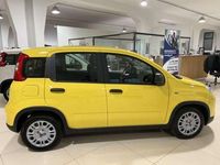 Usata Fiat Panda S 69 CV (50 kW) 2024 Giallo Utilitaria