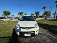 Usata Fiat Panda 4x4 S 85 CV (62 kW) 2019 Bianco Utilitaria
