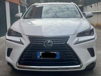 Usata Lexus NX300h 185 CV (136 kW) 2018 SUV