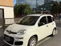 Usata Fiat Panda 85 CV (62 kW) 2013 Bianco Utilitaria
