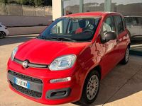 Usata Fiat Panda Easy 69 CV (50 kW) 2017 Rosso Utilitaria