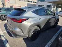 Usata Lexus NX450h+ Sport Line 143 CV (105 kW) 2025 Grigio SUV