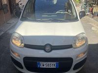 Usata Fiat Panda Lounge 75 CV (55 kW) 2015 Utilitaria