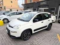 usata Fiat Panda Panda 1.01.0 FireFly S&S Hybrid City Life