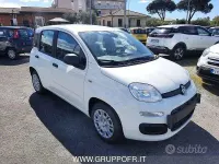 Nouvelle Fiat Panda Icon 65 ch (47 kW) 2026 Blanc Citadine