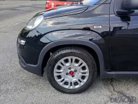 Usata Fiat Panda S 69 CV (50 kW) 2024 Nero Utilitaria