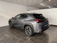 usata Lexus UX Full Electric Premium del 2020 usata a Torino