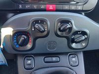 Usata Fiat Panda S 70 CV (51 kW) 2021 Bianco Utilitaria