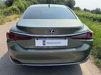 Usata Lexus ES300H Business Edition 178 CV (130 kW) 2021 Sunlight green Berlina