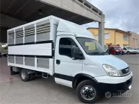 Usata Iveco Daily 177 CV (130 kW) 2008 Bianco