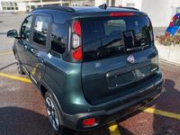 Usata Fiat Panda Cross Cross 70 CV (51 kW) 2025 Verde Utilitaria