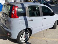 usata Fiat Panda Panda 1.2 Active GPL