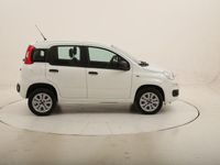 usata Fiat Panda Easy Natural Power