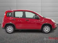 Usata Fiat Panda S 70 CV (51 kW) 2024 Rosso Utilitaria