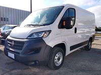 Usata Fiat Ducato 120 CV (88 kW) 2021 Other Furgone