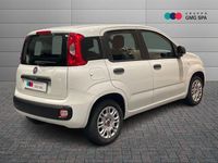 Usata Fiat Panda Easy 69 CV (50 kW) 2020 Bianco Berlina