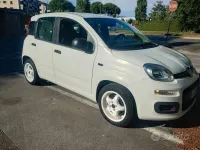 Usata Fiat Panda 95 CV (69 kW) 2016 Utilitaria