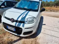 Usata Fiat Panda Easy 80 CV (58 kW) 2013 Bianco Utilitaria