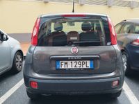 usata Fiat Panda Panda 1.2 Pop