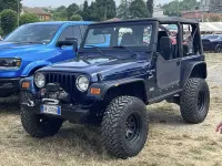 Usado Jeep Wrangler 184 HP (135 kW) 2001 SUV
