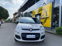 usata Fiat Panda 1.2 Lounge