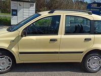 Usata Fiat Panda 77 CV (56 kW) 2009 Utilitaria